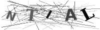 Please refresh your browser to see this image.